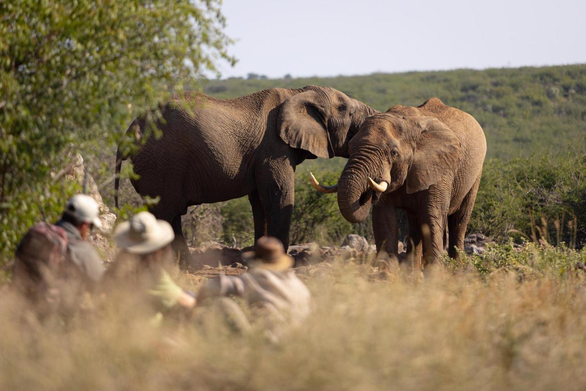 Rhulani Safari Lodge Madikwe Game Reserve Exterior photo