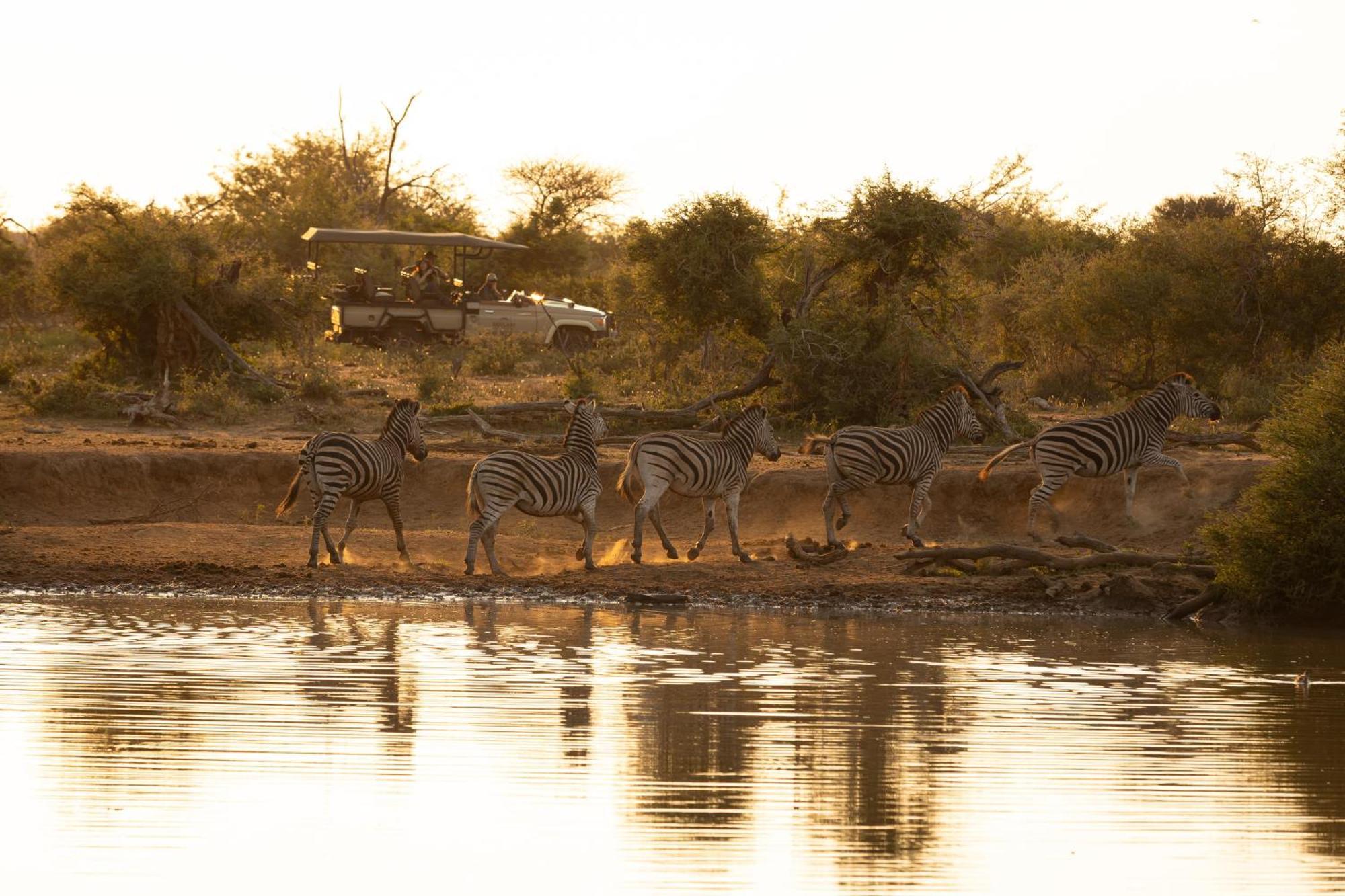 Rhulani Safari Lodge Madikwe Game Reserve Exterior photo